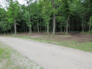 IMG_0772.JPG
