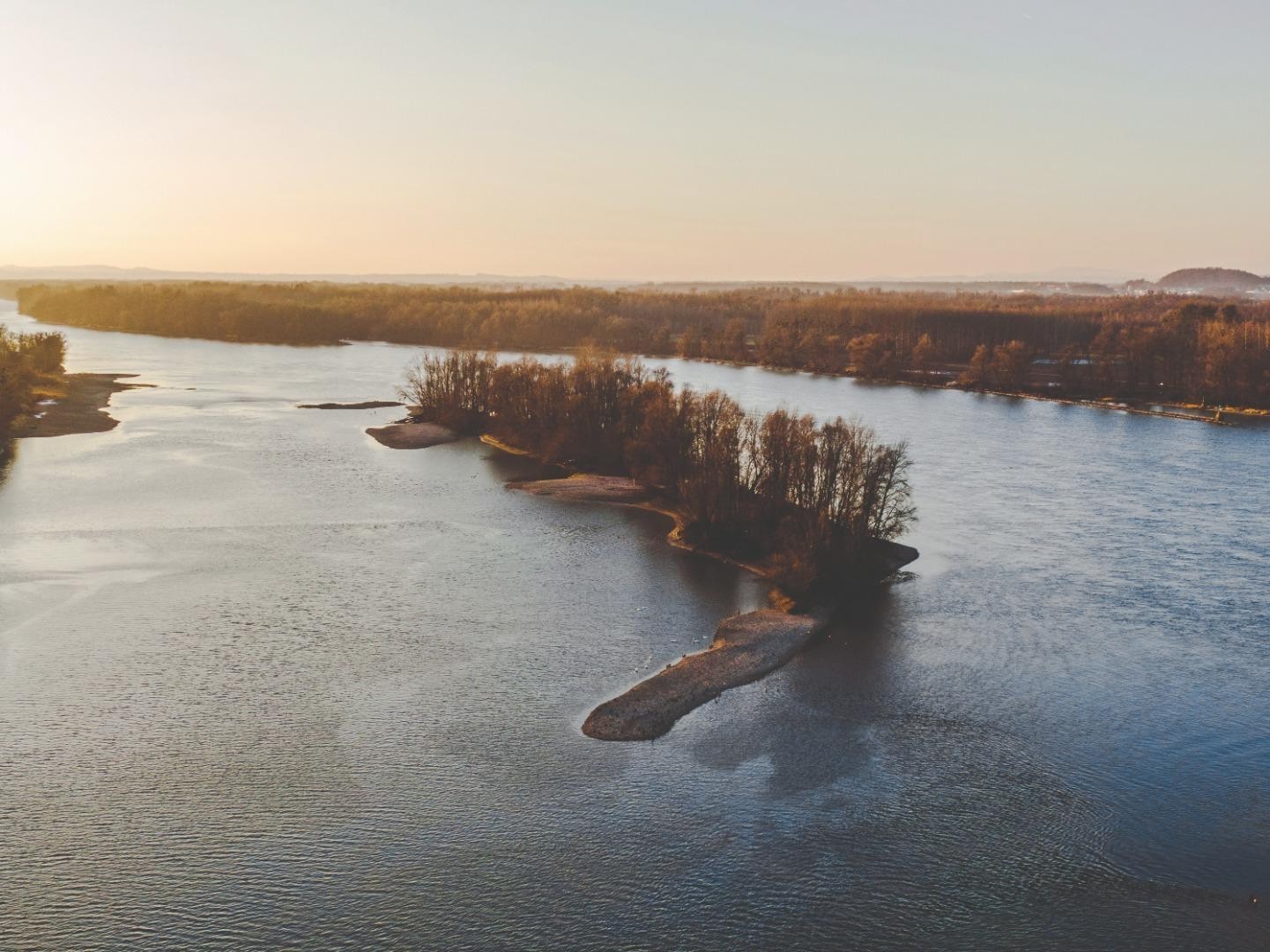 Donauau Insel - Joachim Pressl - Ardagger