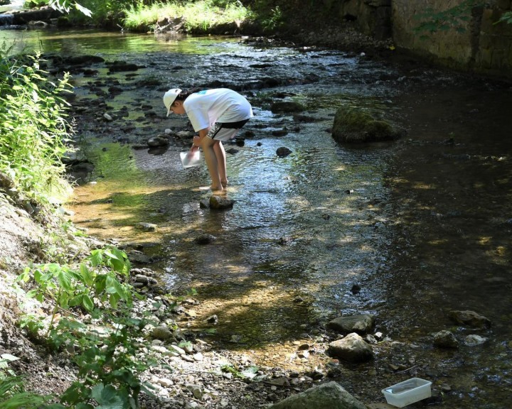 Unterwasserwelt 4.JPG