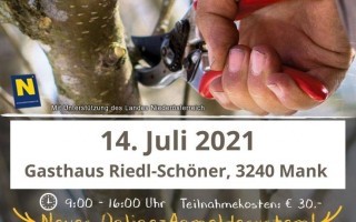210714_Sommerschnittkurs_Gh Riedl-Schöner.jpg