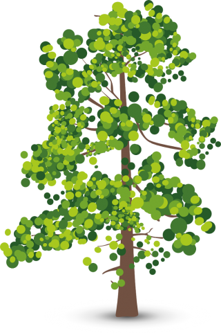 Baum--.png
