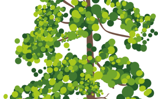Baum--.png