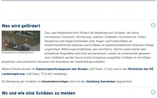 Vorschaubild.JPG