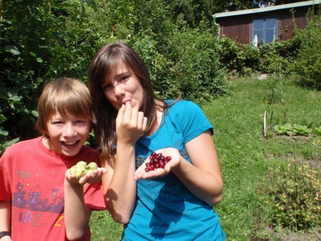 Wildfruechte_zum_Naschen_und_basteln_(c)K.Wanninger