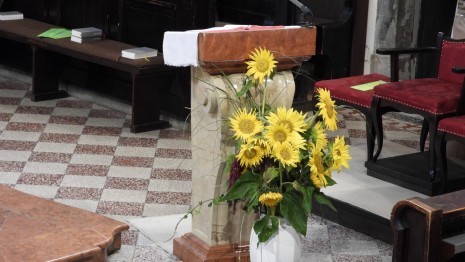DSCN6009.JPG