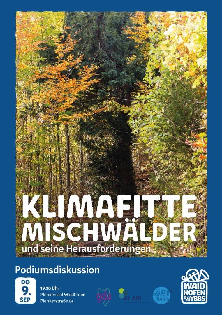 KlimafitteMischwälderKLAR.jpg