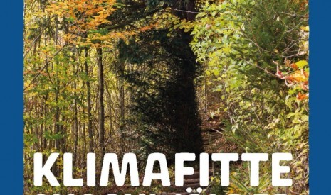 Klimafitte Mischwälder