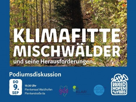 KlimafitteMischwälder_KLAR_4_3.jpg