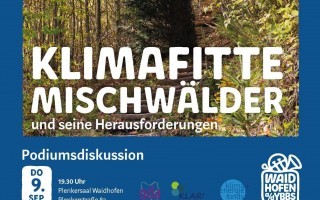 KlimafitteMischwälder_KLAR_4_3.jpg