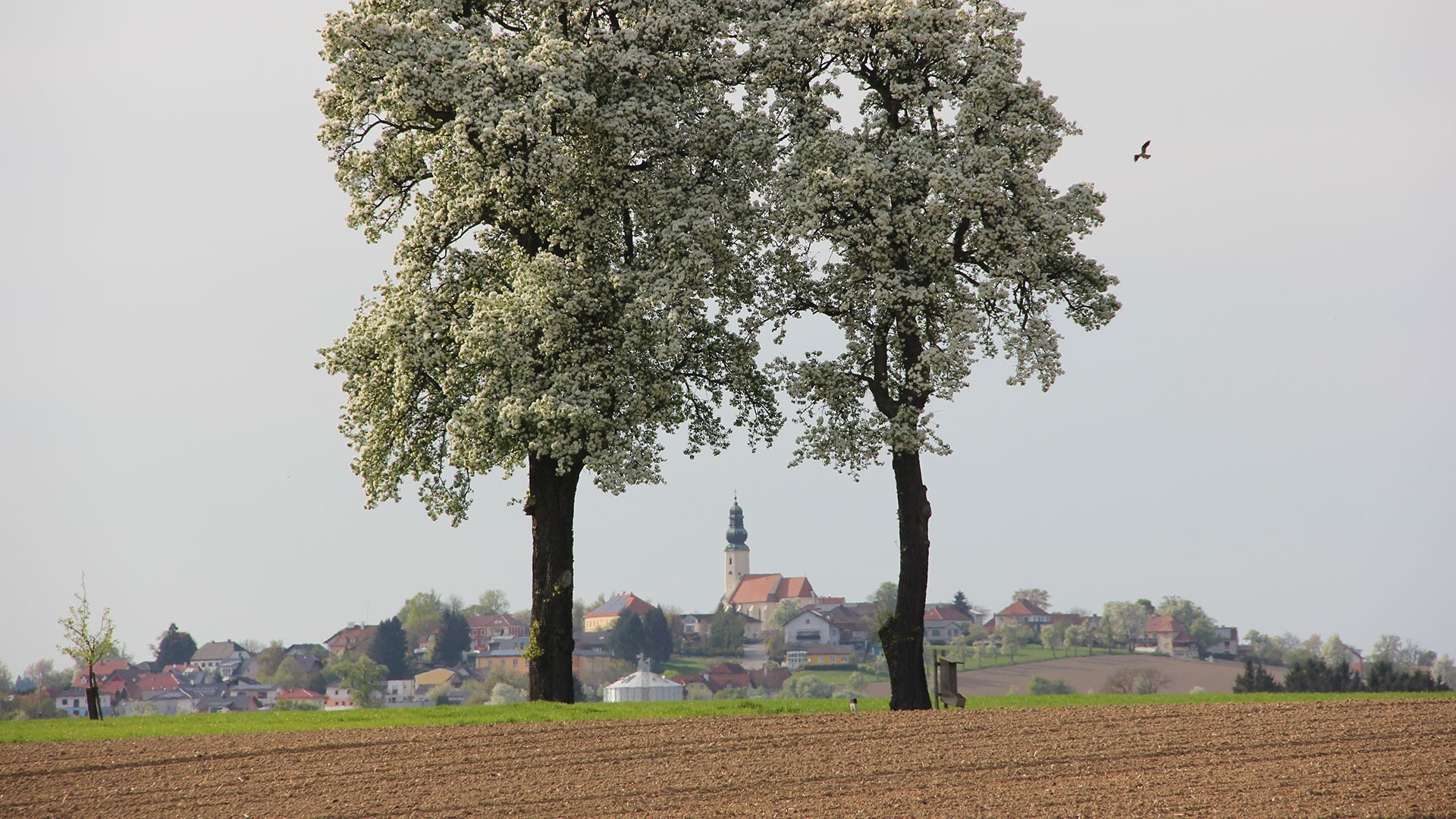 Wolfsbach-Fotocredit-Gemeinde-Wolfsbach_hd.jpg