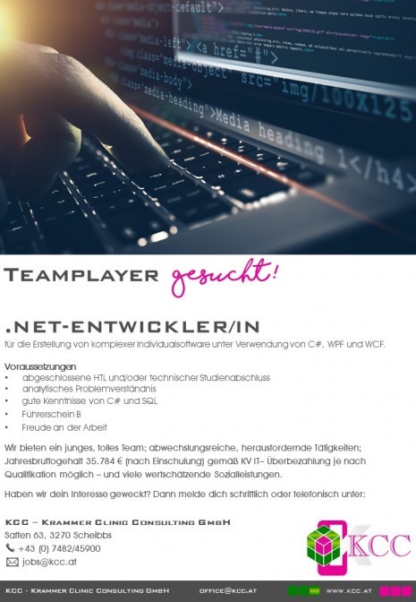 Jobinserat_Net Entwickler_1