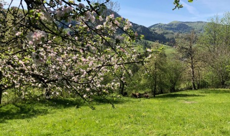 Amtssignatur