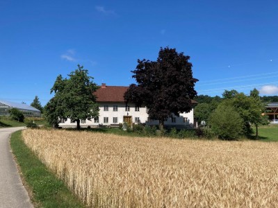 Foto Haus Gemeindezeitung