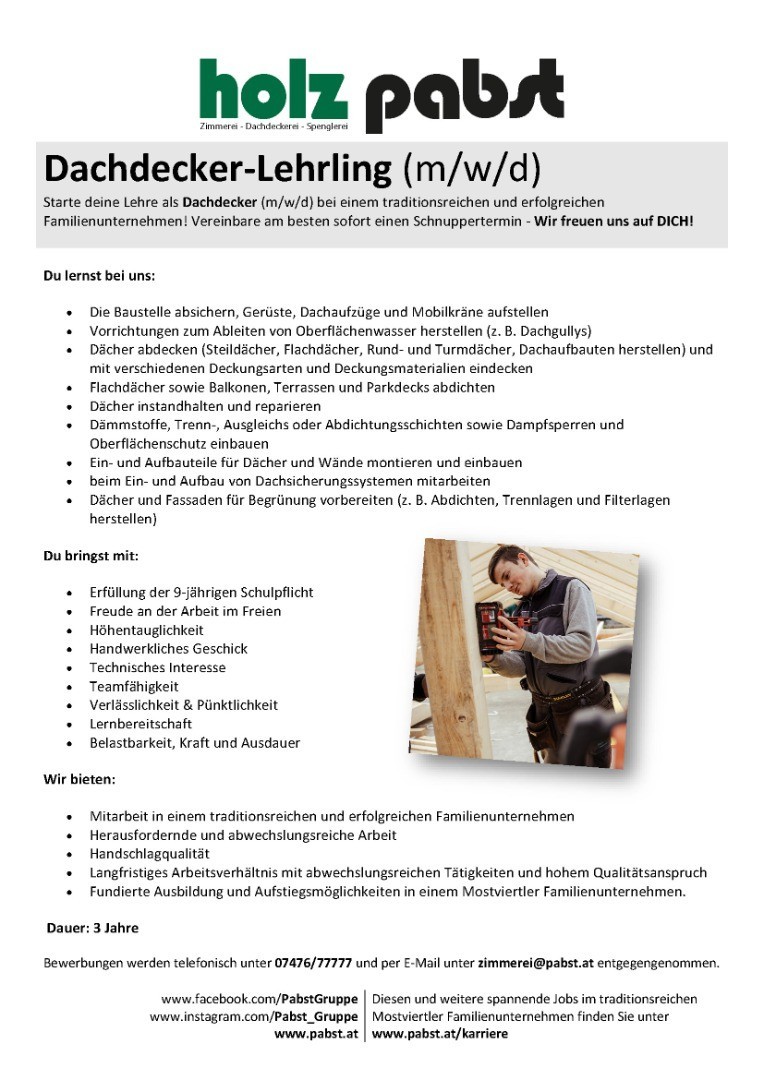 Lehre Dachdecker Holz Pabst.jpg