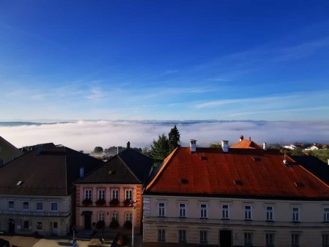 WhatsApp Image 2021-10-01 at 09.52.43.jpeg