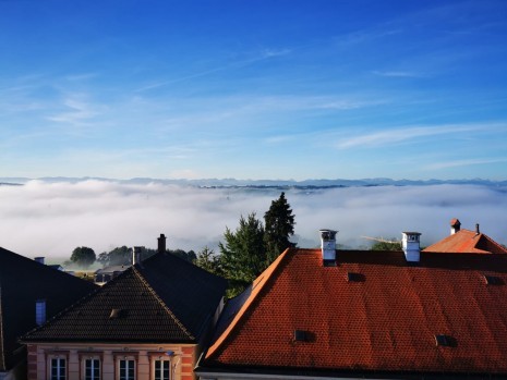 WhatsApp Image 2021-10-01 at 09.53.12.jpeg