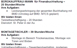 Stellenanzeige_Stressler.png