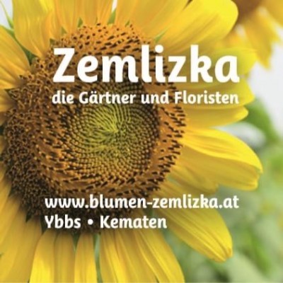 1E1BC7DE-04E0-41B8-AA7E-313BA07448DB