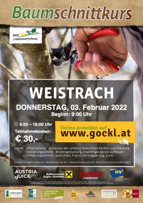 Baumschnitt_Weistrach