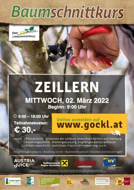 Baumschnitt_Zeillern