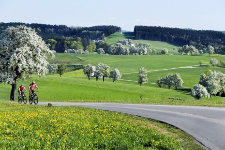 Mostradeln (c) weinfranz.at