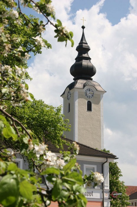 Baumblüte-mit-Kirche001.jpg