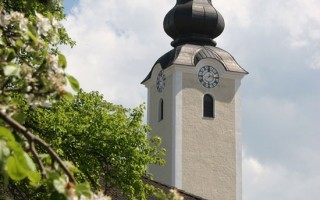 Baumblüte-mit-Kirche001.jpg