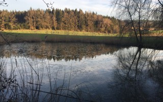 2018-04-04 Regenrükchaltebecken.JPG