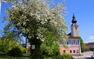 12-04-30 Baumblüte mit Kirche002.JPG