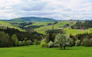 2016-04-17 Baumblüte im Mostviertel 4.JPG