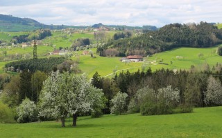 2016-04-17 Baumblüte im Mostviertel 3.JPG