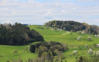 2016-04-17 Baumblüte im Mostviertel 2.JPG