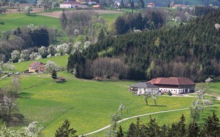 2016-04-17 Baumblüte im Mostviertel 5.JPG