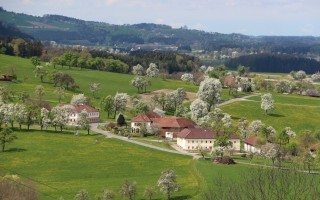 2016-04-17 Baumblüte im Mostviertel 8.JPG