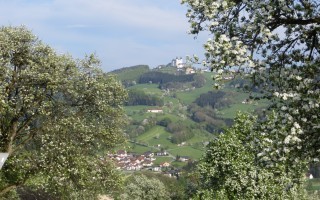 2016-04-22 Baumblüte Kleingassen- Sonntagberg 11.JPG