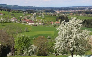 2016-04-17 Baumblüte im Mostviertel 10.JPG