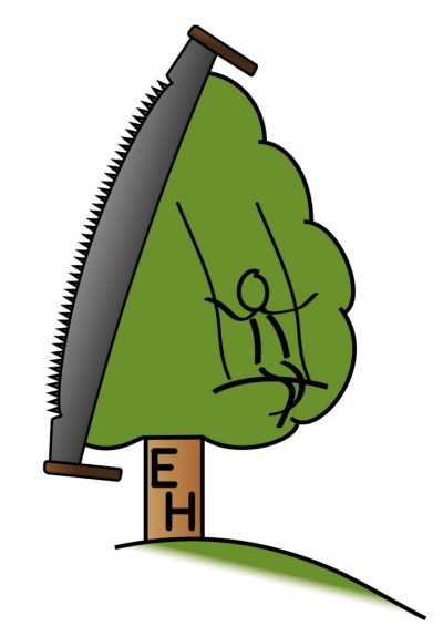 Haunschmid_Logo-EH-Version-Farbe-Fertig