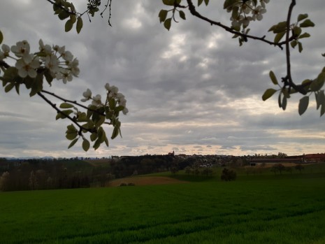 20220418_162338.jpg