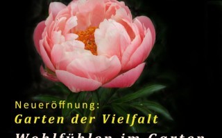 Iris--und-Pfingstrosenfest-klein.jpg