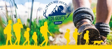 8491-tut gut