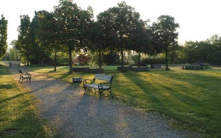 Genuss am Freiluftmarkt_Park_Gabriele-Starkl01.jpg