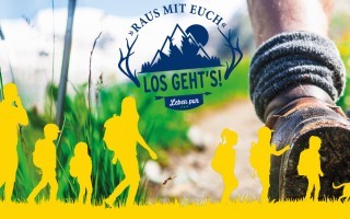 8491-tut gut_.jpg