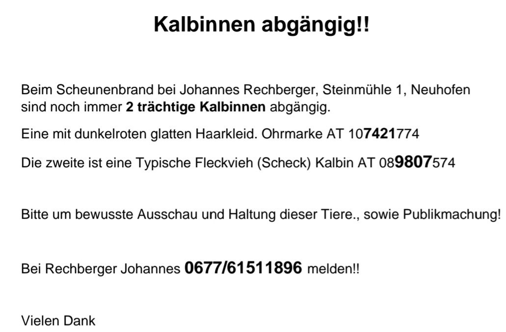 Kälbinnen Rechberger.jpg