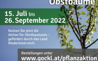 Plakat_Flyer_Pflanzaktion_2022.jpg