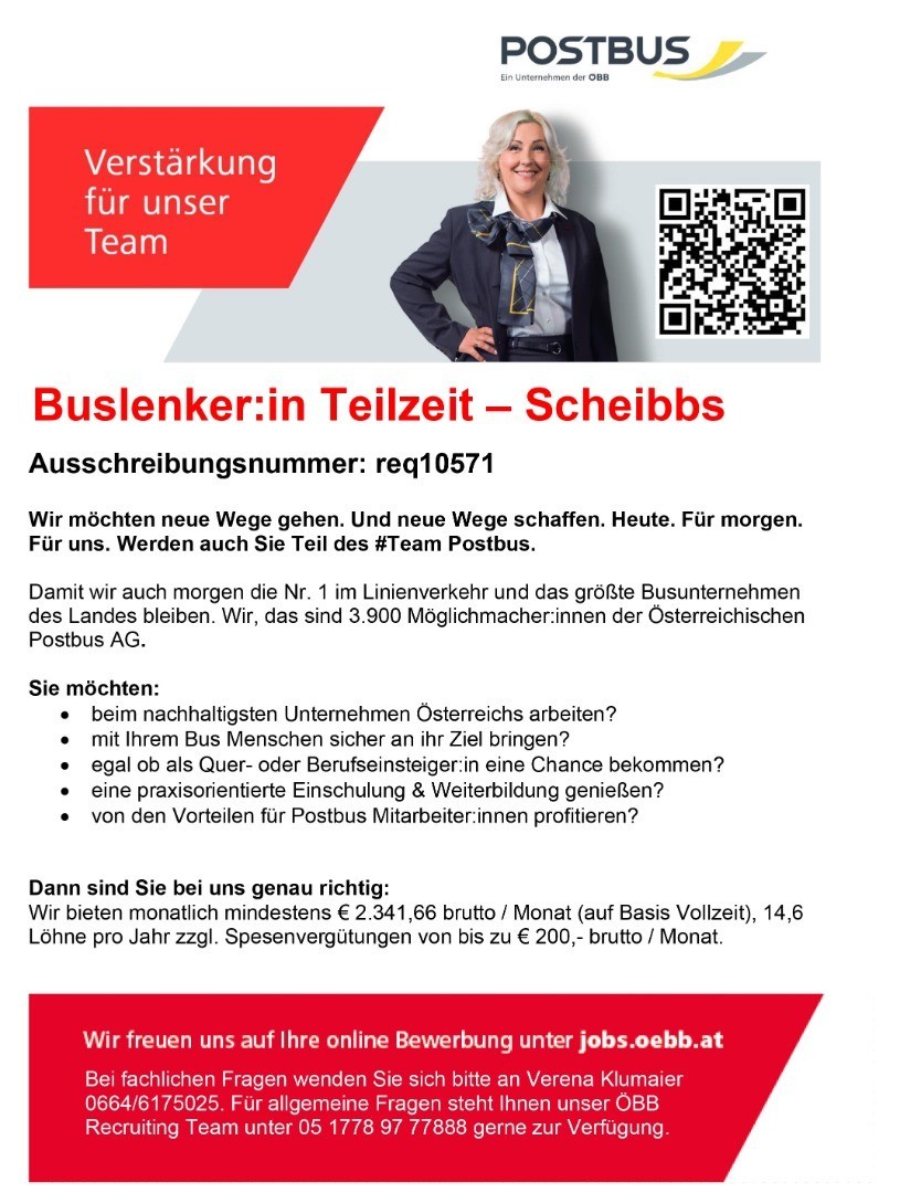 Postbus Flyer - BuslenkerIn Scheibbs.jpg