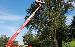 Projekt Streuobsterhaltung.jpg