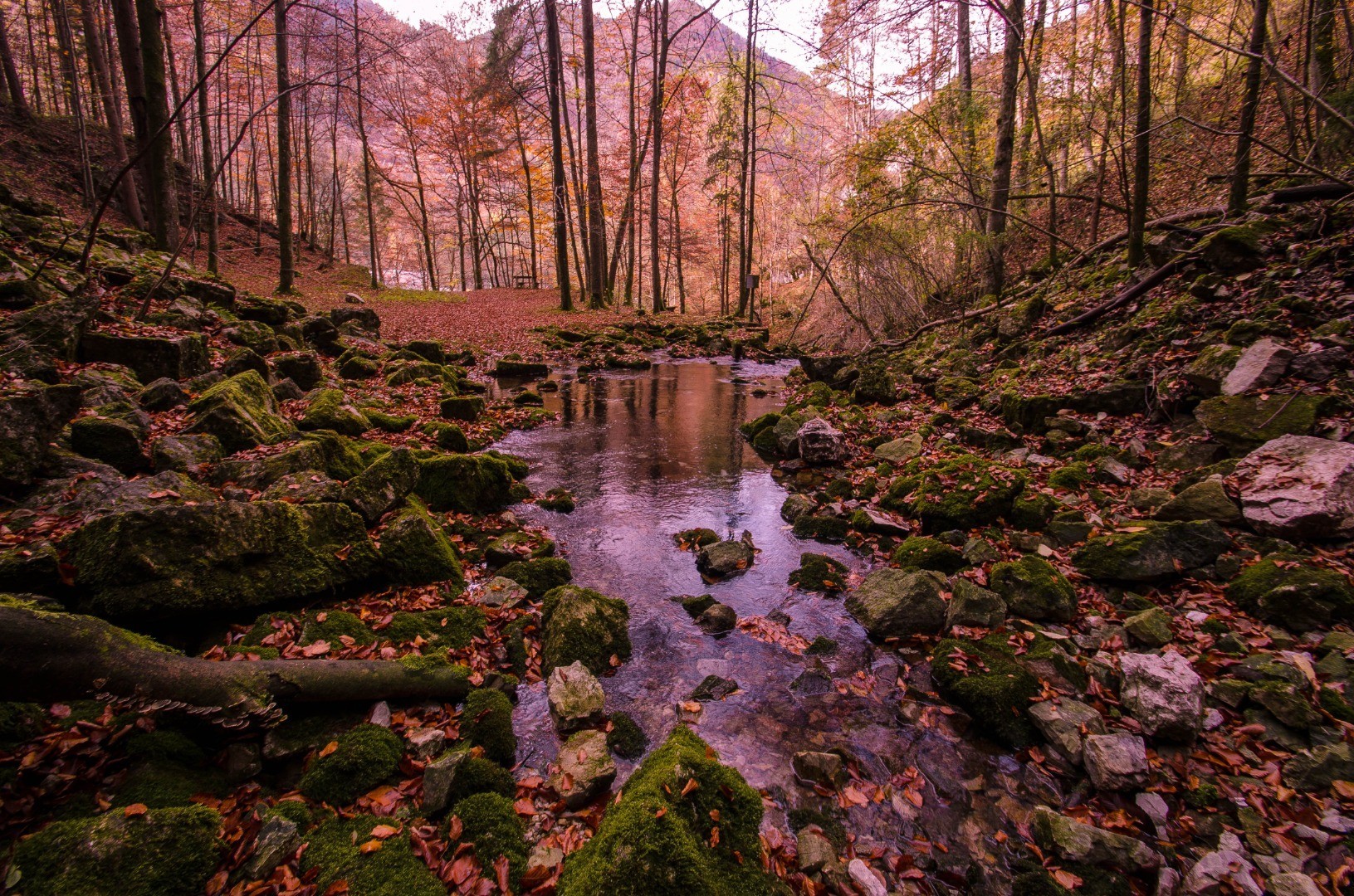 Holzknecht Ina - Quelle.JPG