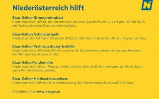 RS 35 - Anlage - NOE_hilft-Plakate zu Teuerungsausgleich_Seite_2.jpg