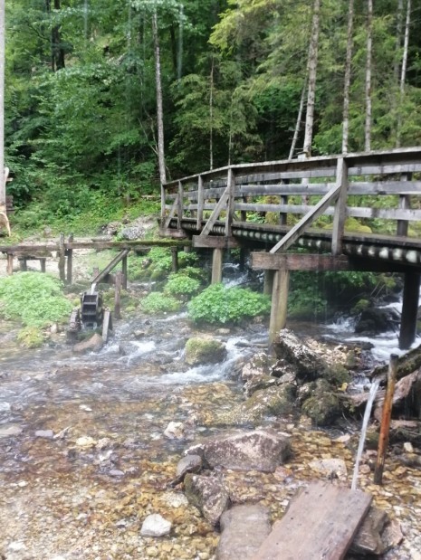 IMG_20220727_120331.jpg