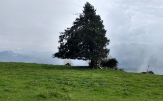 EMW Sonntagberg_Tag 3_Wandern mit Öffis_cWagner (11).jpg